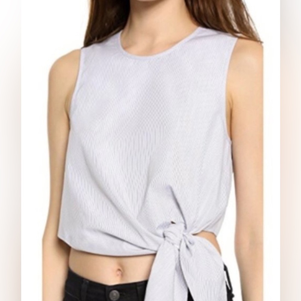 Tibi Blue and White Crop Top